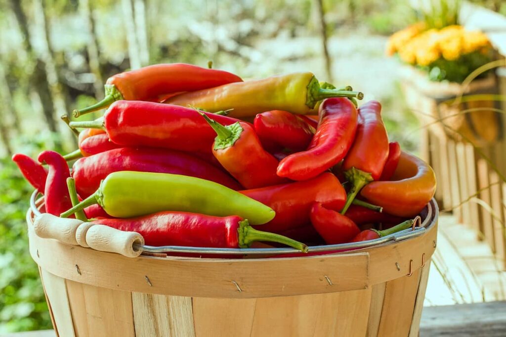 Basket of Peppers