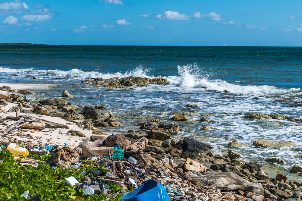 Styrofoam transport packaging waste ends up in oceans and waterways