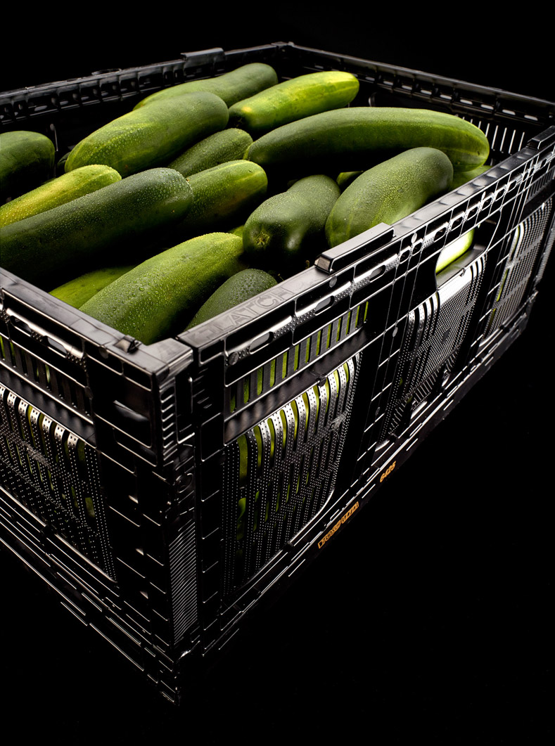 Fresh cucumbers are placed in a Tosca produce crate, a reusable plastic container perfect for transporting produce.