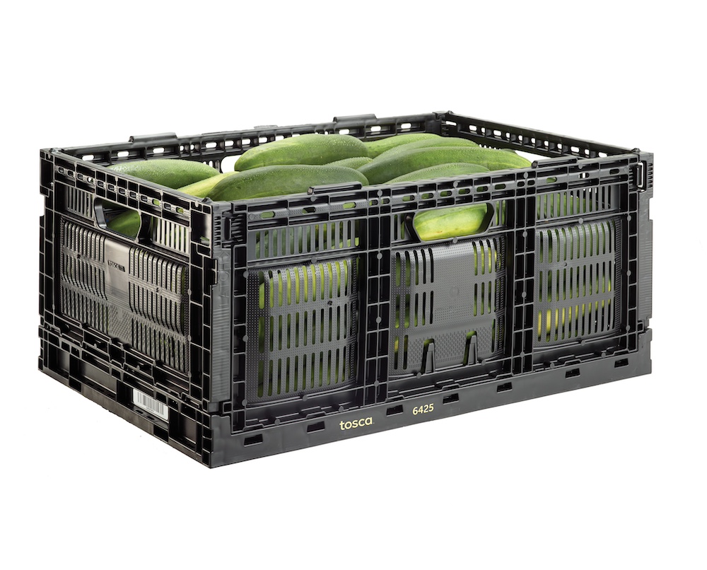 Cucumbers are neatly stacked in a durable, stackable produce crate, keeping them fresh and damage-free.