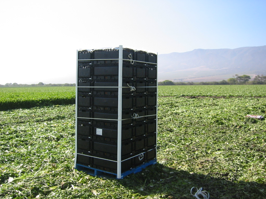 stacked reusable crates in crop field